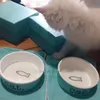 Tigelas para cães de design de cerâmica pesada de alto brilho Tigela para gatos Tigela para gatos durável para comida de cachorro e água Prato para animais de estimação, à prova de mastigar, lava-louças e micro-ondas Azul 6 em 12 OZ J07