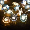 Decorazioni natalizie 2m 20LED Conchiglie Stelle marine Luci a corda Oceano Festa a tema Fata Luce Sirena Compleanno Ragazza Baby Shower favore 231123