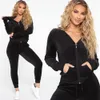 Mulheres duas peças calças mulheres zíper hoodies veludo agasalho 2 conjunto colheita top perna larga sweatsuits jogging femme veludo chandal mujer 231123