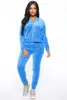 Mulheres duas peças calças mulheres zíper hoodies veludo agasalho 2 conjunto colheita top perna larga sweatsuits jogging femme veludo chandal mujer 231123