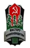 CCCP Brosch USSR Farmer Master Grower Award Badge Metal Classics Union Emblem Military Army World War II Pins6661686