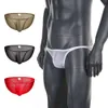 Men's Sexy Briefs See Through Mesh Underwear Transparent Bikini Breathable Ultra Thin Bulge Pouch Hombre