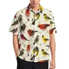 Camisas casuales para hombres Blusas con estampado de pájaros coloridos Hombre Lindo Cockatiel Hawaiano Mangas cortas Personalizado Fresco Gran tamaño Playa Y2k Idea de regalo