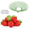 Inne narzędzia ogrodowe 10pcs Strawberry Stand Green Climbing Proinis Home Vine Pilar Filar Plant Rame Plaster Plastic Fruit Wspornik 230422