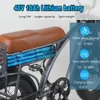 2000w Dual Motor Retro Electric Bike 20 tum fettdäck 48V 18Ah avtagbart batteri upp till 55 km/h bergskostnader Electric Bicycle