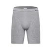 Mutande ICOOL Cotone Vita bassa Sport Intimo da uomo Boxer Pantaloncini da corsa Collant Bianco Tinta unita Perizoma