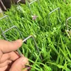 Другие садовые инструменты USHAPED NAILS ARTIFICAL GRASS TURF U PINS METAL GALVANIZED PEGS ОСНОВНЫЕ ДИПА