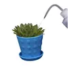 Bottiglie da imballaggio all'ingrosso 250 ml di annaffiatoio carnoso spremere con ugello lungo attrezzi da giardino piante grasse fiore bottiglia speciale acqua Dhmra