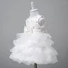 Fille Robes Bébé 1er Anniversaire Pour Les Filles Sans Manches Mignon Blanc Né Infantile Baptême Robe Enfant En Bas Âge Enfants Fête De Mariage Tutu Robes