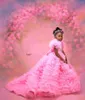 La ragazza veste le ragazze di fiore rosa di lusso per le increspature di nozze Tulle Pageant Dress Kids Party Prom Birthday Ball Gowns Poshoot