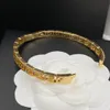 2023 Högkvalitativ designer Medusa Gold Plated Bangle örhängen Set Guld Buckle Armband Fashion Smycken Män och kvinnor armband