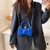 ショルダーバッグミニ女性クロスボディバッグ厚いチェーンデザイナーハンドバッグ女性装飾的なショルダーバッグゼブラ乳製品ヒョウイブニングバッグ財布