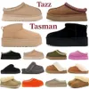 2023 uggsboot tasman Tazz Pantofole Stivali Pelliccia di castagno Diapositive Pelle di pecora Shearling Muli Donna Uomo Ultra Mini Piattaforma Boot Slip-on Scarpe in pelle scamosciata Autunno Inverno Booist