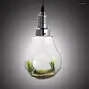 Pendant Lamps Potted Plant Light Lamp Shade Modern Flower Pots Growing Herbs Or Succulents LukLoy Babylon With LED Bulb Nature