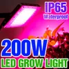 Phytolamp för växter Ljus 200W LED GROW -lampor Phyto Lamp Full Spectrum Bulb Hydroponic Lamp Greenhouse Flower Seed Grow Tent