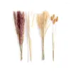 Fiori decorativi 70 pz/set Bouquet di fiori secchi Mazzo di erba di canna naturale Decorazioni per la casa fai da te Piante secche Po Sfondo Prop