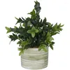 Plante d'eucalyptus artificielle de fleurs décoratives dans des feuilles réalistes et un pot en porcelaine à motifs