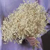 Décorations de Noël Fleurs séchées Bouquet de souffle de bébé Ivoire Blanc Branches de gypsophile naturelles pour la décoration intérieure Table de mariage Floral 231123