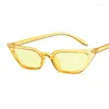 Sunglasses Cateye Vintage Red Pink Woman Brand Designer Retro Points Sun Glasses Female Superstar Lady Cat Eye