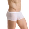 Heren S Sexy Sheer U Convex Ice Silk Naadloze Ultra Dunne Ademende Boxershorts Zacht Comfortabel Transparant Slipje