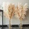 Dekorativa blommor stora pampas gräs 80 cm juldekorationer för hem deekoration tillbehör bröllop centerpieces bord torkade