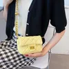 Сумки с плечами бренд драгоценный цепь сумки для женщин 2022 модные кошельки для кросс -сад дизайнер мессенджер сумка милая сумка роскошной телефонной телефона