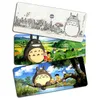 totoro mouse pad.