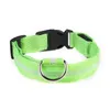 Dog Collars LED Luminous Collar Rechargeable Waterproof Adjustable Pet Supplies Glow