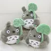 22CM Lovely Cartoon Lotus Leaf Totoro Plush Stuffed Animals Doll Soft Throw Pillow Home Decor