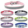 engraved cat collars