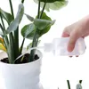 Bottiglie da imballaggio all'ingrosso 250 ml di annaffiatoio carnoso spremere con ugello lungo attrezzi da giardino piante grasse fiore bottiglia speciale acqua Dhmra