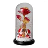 Decorative Flowers Glass Cover Valentine's Day Ornament Doll Micro Landscape Immortal Rose Gift LED Imitation Light