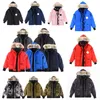 Winter Clothes high quality Pullover coat Thickened warm Men Hoodie Classic versatile fashion essentialhoody down-filled garment outerwear 16JZYX