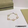 Clásico Van Pulsera de diseño de lujo Trébol de hoja Cadena de diseñador 18K Concha de oro para niña Boda Día de la madre Joyería de moda Regalo de mujer