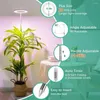 Grow Lights led växtljus full spektrum timing växande lampa för saftiga blommor inomhusväxter