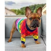 Ropa para perros Ropa Invierno Mascotas Mascotas Moda Arco iris Suéter Gato