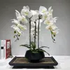 大きな人工蘭の花の配置PUリアルタッチハンドフロアテーブル装飾ホーム高品質の花束なし2012757