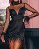 Casual Dresses Evening Black Sheer Mesh Patchwork Fluffy Ruched Party Dress Feather Mock Neck Elegant For Women