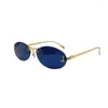 Солнцезащитные очки 2023 Женские модные модные эрифы F40046 Дизайнерские супер крутые овальные очки