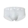 Underpants Men's Lace Underwear Sexy Gay Men Boxers Lingerie Shorts Transparent