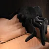 20x30cm Simulering Spider Plush Toys Real Like Fyllda mjuka djur Fruktansvärda kudde för barn Barn Xmas födelsedagspresenter LA623