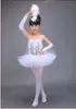 Dancewear Kinderen Professionele Wit Zwanenmeer Ballet Tutu Kostuum Meisjes Ballerina Jurk Kinderen Ballet Jurk Dancewear Dans Jurk Voor Meisje 231124