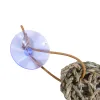 Small Animal Supplies Rope Woven Straw Lizard Hammock Mat Nest Pet Reptiles With Suction Cup Cats Dogs Pets asfdw 230620 ZZ