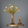 Wazony dekoracyjny stołowy wazon luksusowy design terrarium Funky Plant Nordic Style Oryginalne doniczki de Fleurs Dekoracja wnętrz do domu