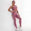 Conjuntos activos Conjunto de yoga para mujer Traje de entrenamiento sin costuras Medias deportivas Camiseta sin mangas Sujetador elástico Transpirable