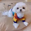 犬のアパレル服冬のペットペットトレンディな虹のセーター猫