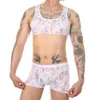 Män sexiga spetsar ren porrshorts Set Transparent Crop Top Boxers andningsbara erotiska Bra romantik sissy trosor bikini