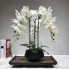 大きな人工蘭の花の配置PUリアルタッチハンドフロアテーブル装飾ホーム高品質の花束なし2012757