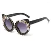 Sunglasses 2024 Sun Glasses Cat Eye Flower Color Diamond Female Bar Interpretation Stage Performance Patty