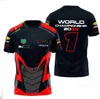 2023 Racing Men's F1 T-shirts T-shirt Summer New Team Polo Shirt samma stil Customiz